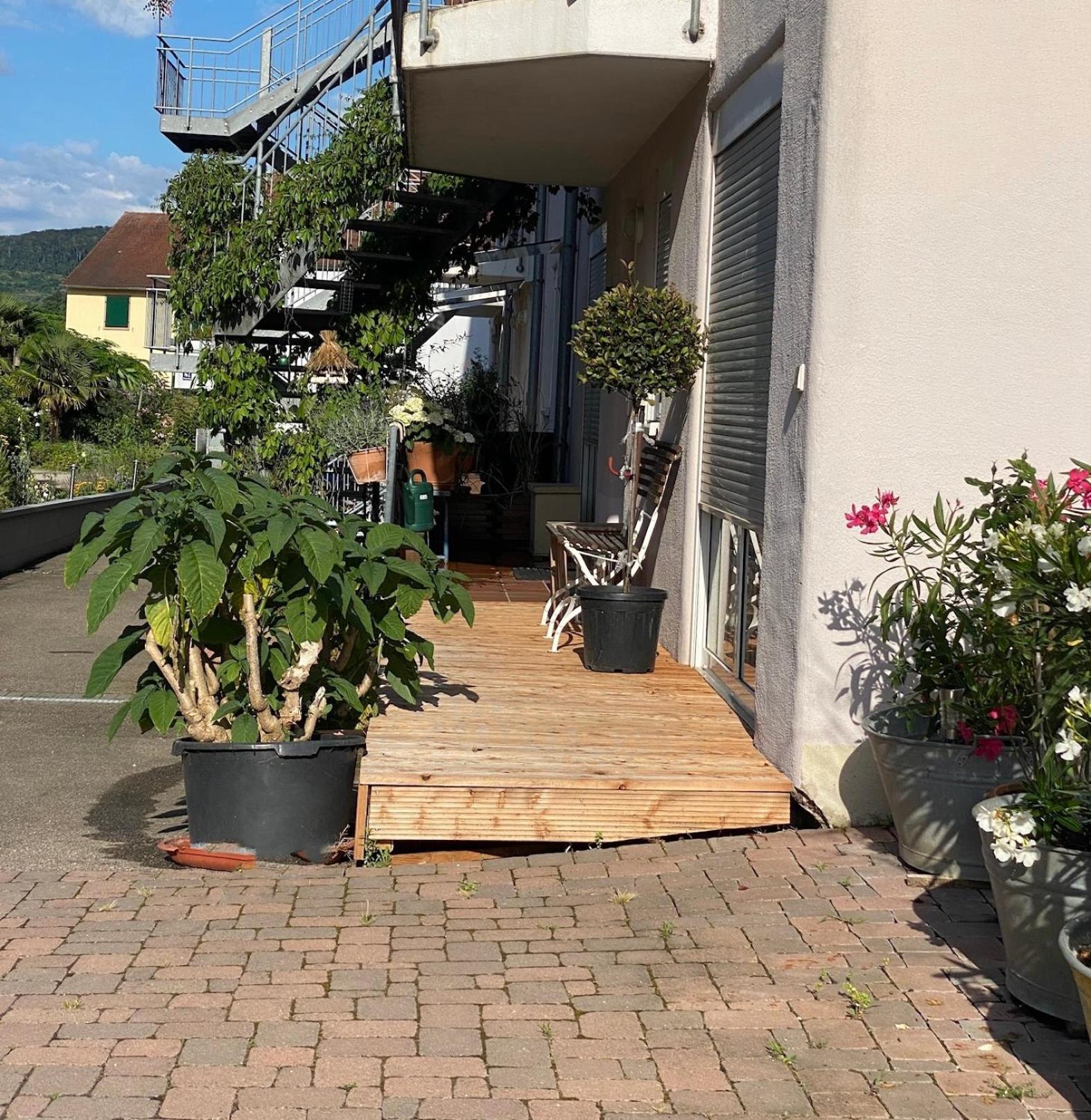 Am Wii- Weg Apartment Vogtsburg Exterior foto